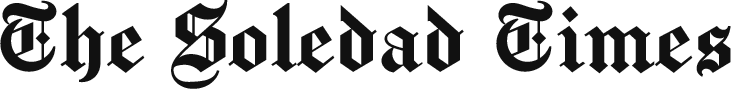 themecms